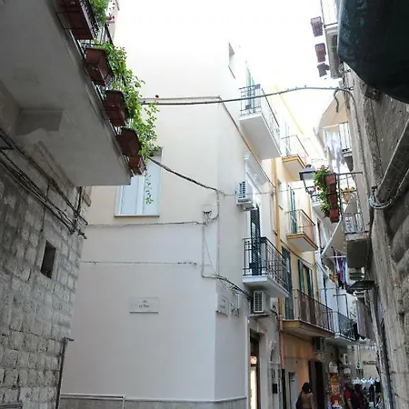 Palazzo del Carmine-3